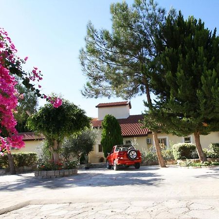 Alonia Villas Pissouri Eksteriør billede