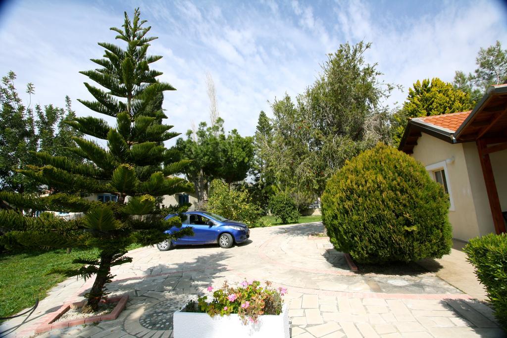 Alonia Villas Pissouri Eksteriør billede