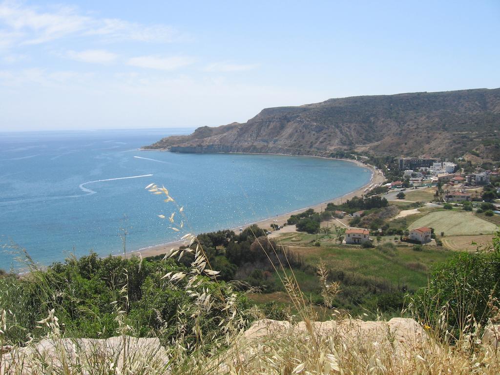 Alonia Villas Pissouri Værelse billede