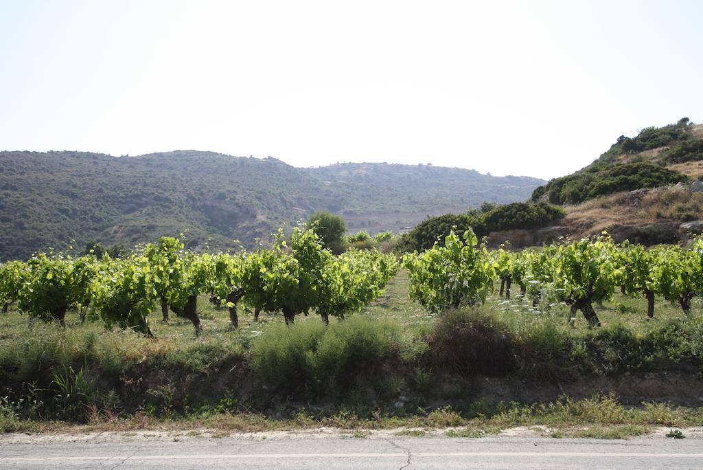 Alonia Villas Pissouri Værelse billede