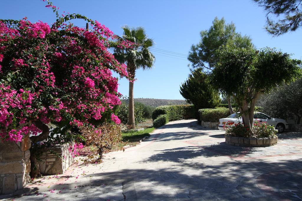Alonia Villas Pissouri Eksteriør billede