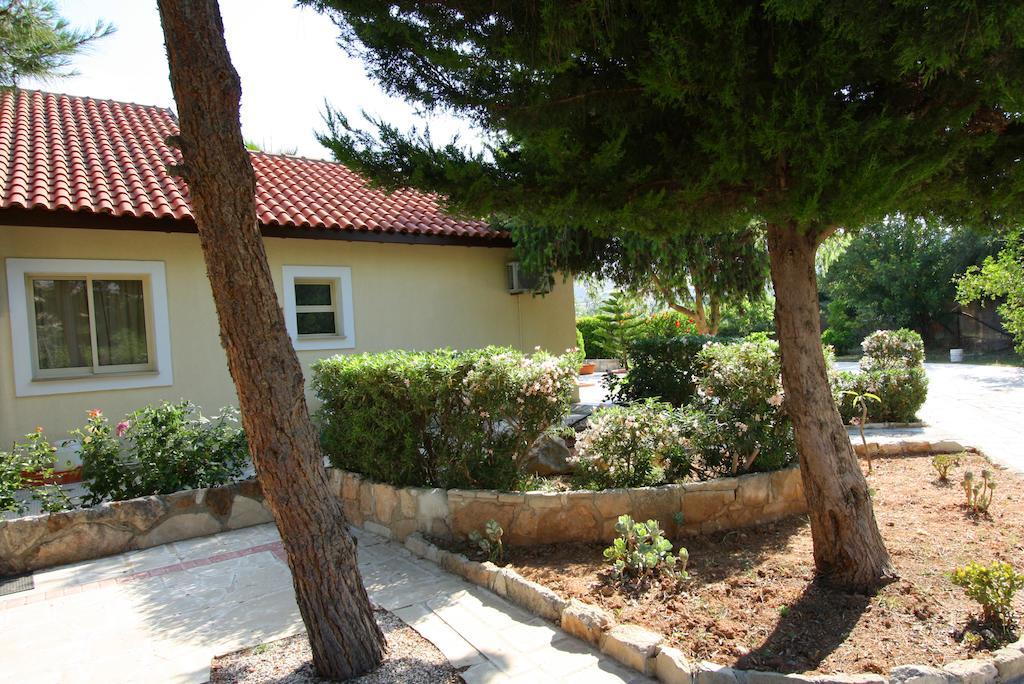 Alonia Villas Pissouri Værelse billede