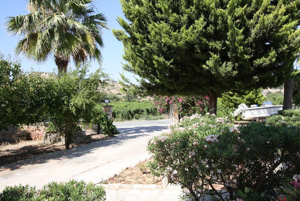 Alonia Villas Pissouri Værelse billede