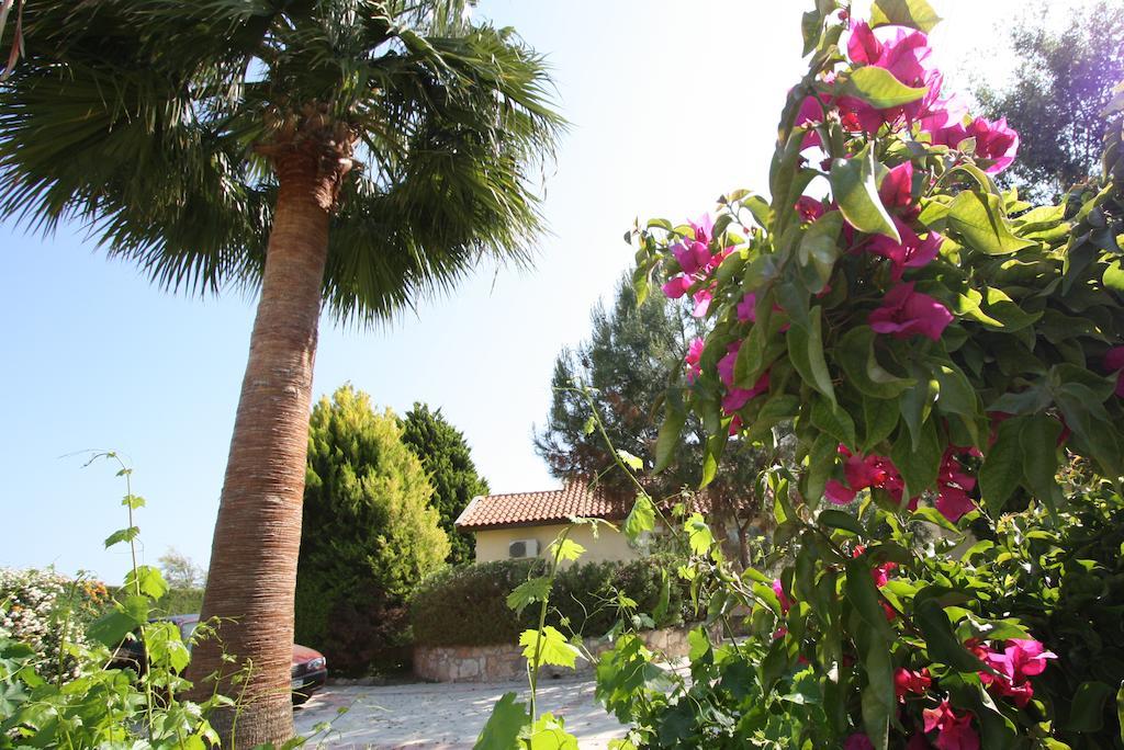 Alonia Villas Pissouri Eksteriør billede