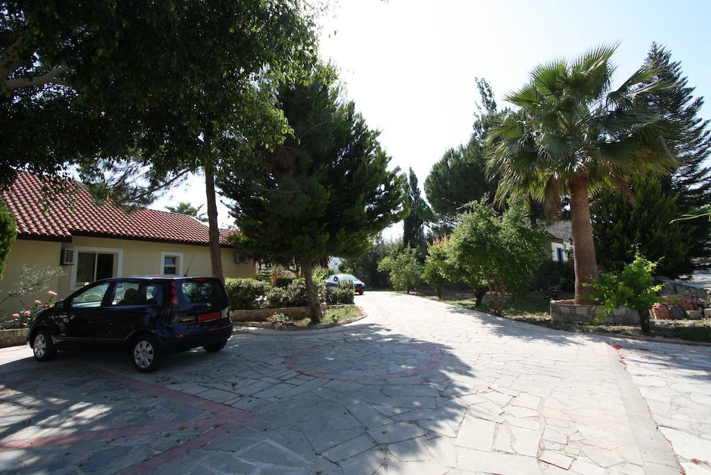 Alonia Villas Pissouri Værelse billede