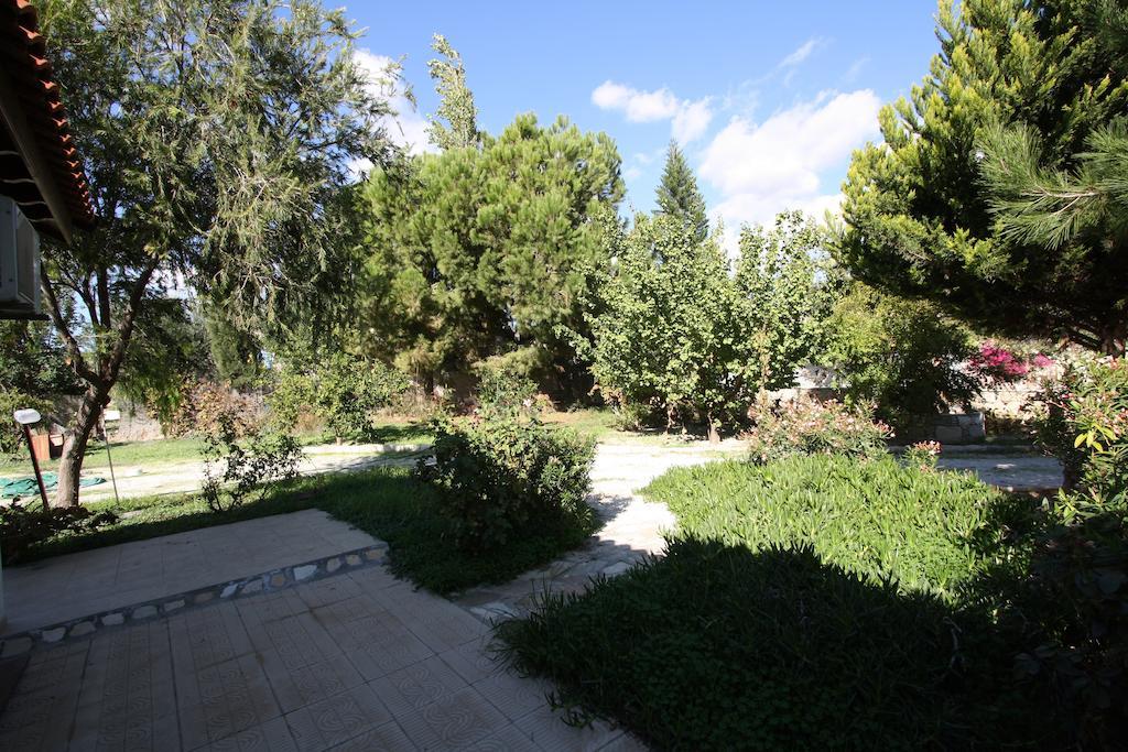 Alonia Villas Pissouri Værelse billede