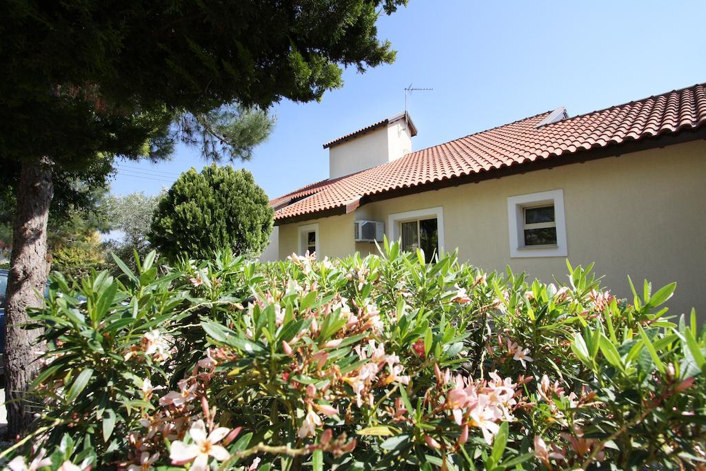 Alonia Villas Pissouri Værelse billede